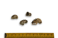 F 02280
<br/>
<br/>
<em></em>